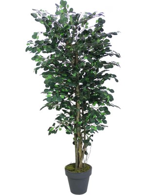 Yapay Paçira Ağacı 170 cm