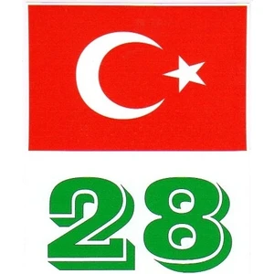 28 Giresun Türk Bayrağı ve Plaka Kodu Ön Cam Sticker Yapıştırma