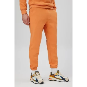Kordonlu Regular Fıt Jogger