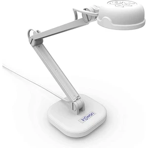Inswan Ins-1