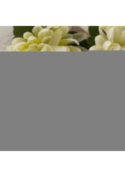 Damla Tuğra Taşsız Altın Kolye fırsatları