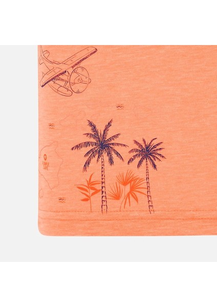 Erkek Bebek Kısa Kollu Tshirt fiyatları