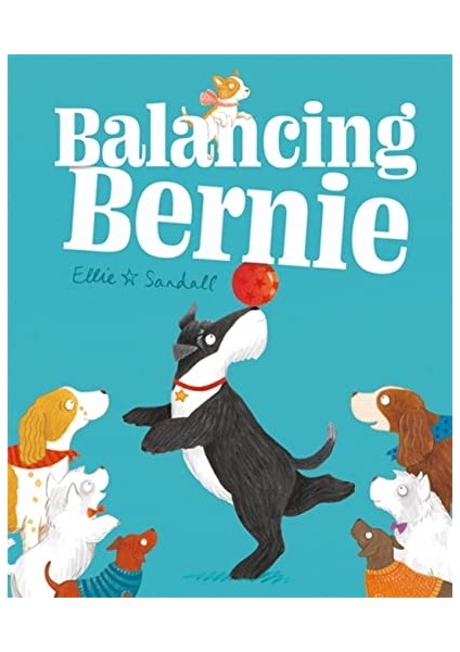 Balancing Bernie
