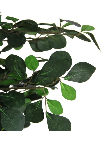 Yapay Paçira Ağacı 170 cm fiyatları