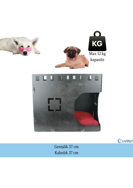 Ahşap Köpek Kulübesi Dekoratif Köpek Evi Küp Model fiyatları