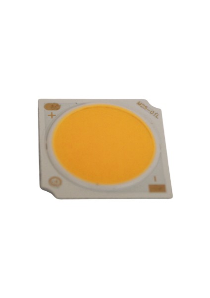 35-38 Volt Gün Işığı 3000 Kelvin 10-12 Watt Cob LED