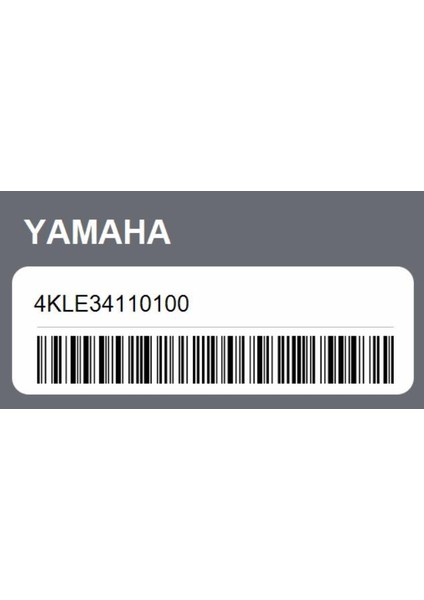 Xc 125E Cygnus Yağ Süzgeci