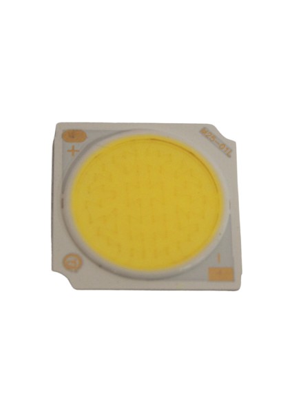 35-38 Volt Beyaz 6500 Kelvin 40 Watt Cob LED