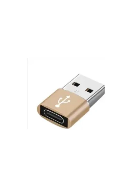 İstanbul Teknoloji USB 3.0 Erkek To Type C 3.1 Dişi Çevirici Şarj ve Data Aparatı