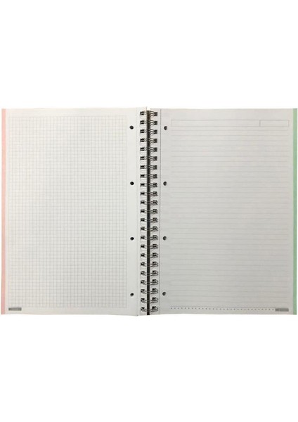 Spring A4 Pp Kapak Sipiralli Defter 140 Yp. 3 Çizgili + 1 Kareli Renk Ayraçlı