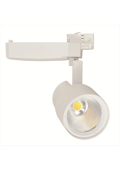 60W Ray Spot Parma 3000K-3480LM