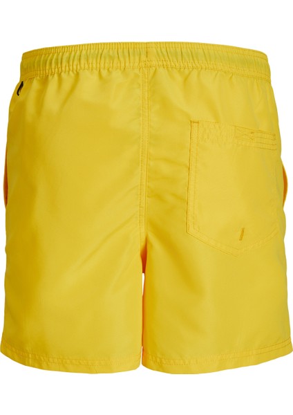 Logo Detaylı Deniz Şortu- Fiji fırsatları