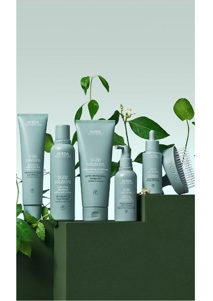Scalp Solutions Exfoliating Scalp Treatment - Saç Derisi Arındırıcı Ferahlatıcı Şampuan 200 ml fırsatları