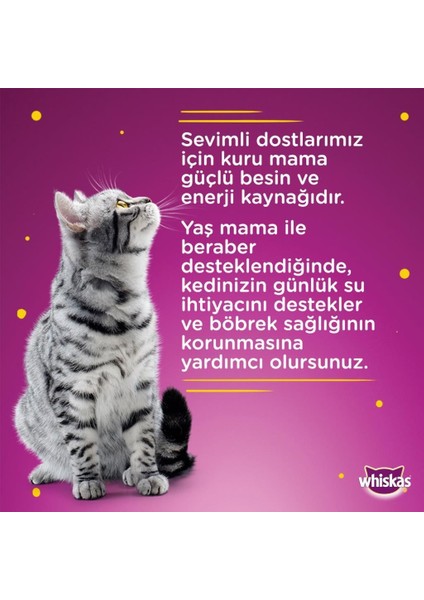 Sığır Etli Biftekli Konserve Kedi Maması 4X400 gr