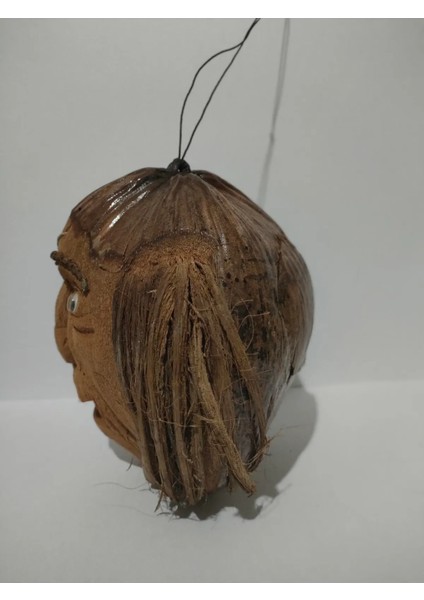 Korsan Adam Coconat