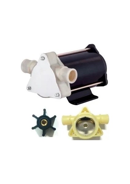 DYB-30-12V Zeytinyağı ve Mazot Pompası
