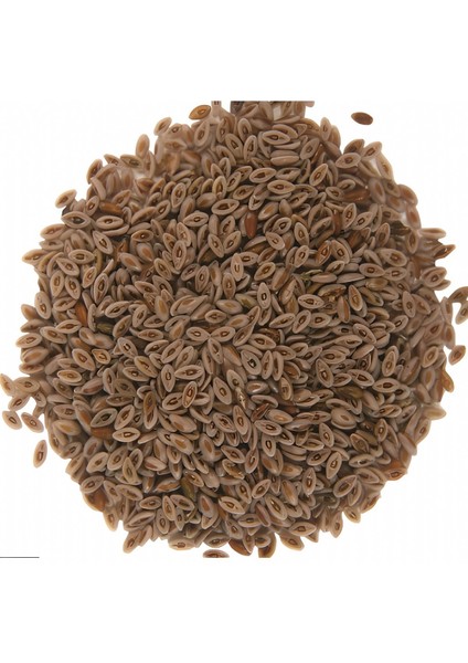 Karnıyarık Otu Tohumu 250 gr fiyatları