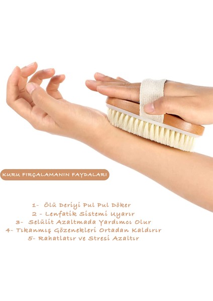 Masaj Aleti Peeling Ahşap Vücut Duş Fırçası Doğal At Kılı Fırçası