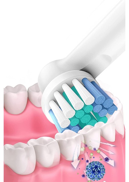 Oral B Uyumlu Şarjlı ve Pilli Diş Fırçası 4 Adet Yedek Başlık Oral B Uyumlu Yedek Fırça Başlık
