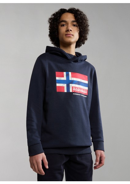 Erkek Çocuk Mavi Sveatshirt NP0A4GXF1761 K B-Zamora H