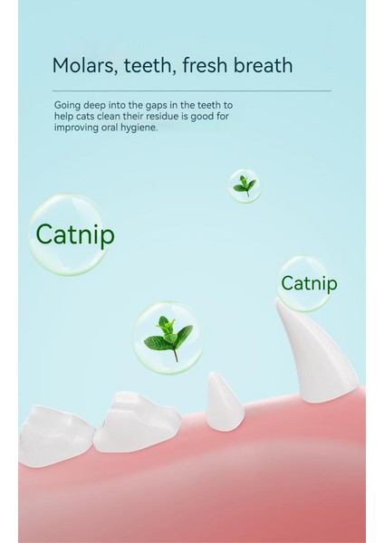 Catnip Oyuncakları Kedi Oyuncakları Diş Temizleme Oyuncakları (Yurt Dışından) fiyatları