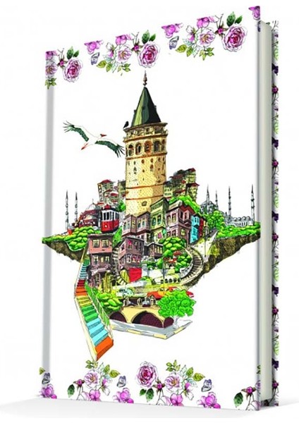 Fantastic Istanbul  Galata 64507-7