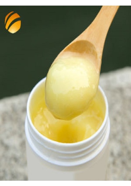 Saf Taze Arı Sütü 100 gr 1.4 Hda fırsatları