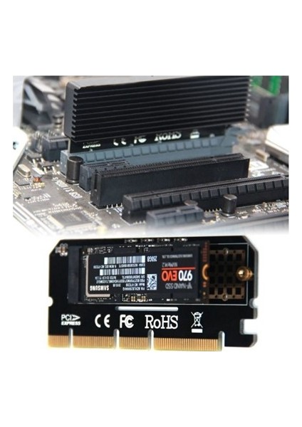 M2 Nvme SSD Pcı Ex Çevirici Adaptör