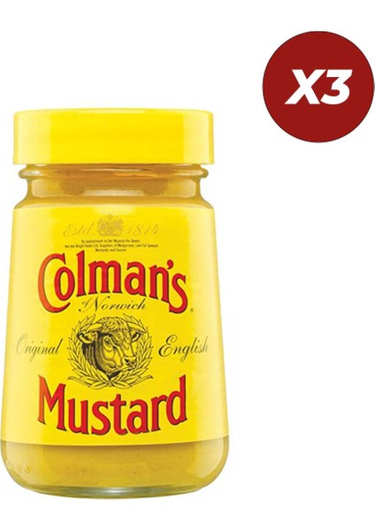 Colmans English Mustard Hardal 100 gr 3 Adet