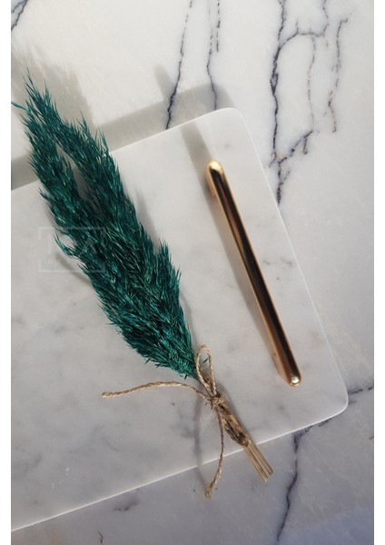 Nişan / Söz Tepsisi Çiçeği, Süsü - Yeşil Şoklanmış Küçük Boy Pampas