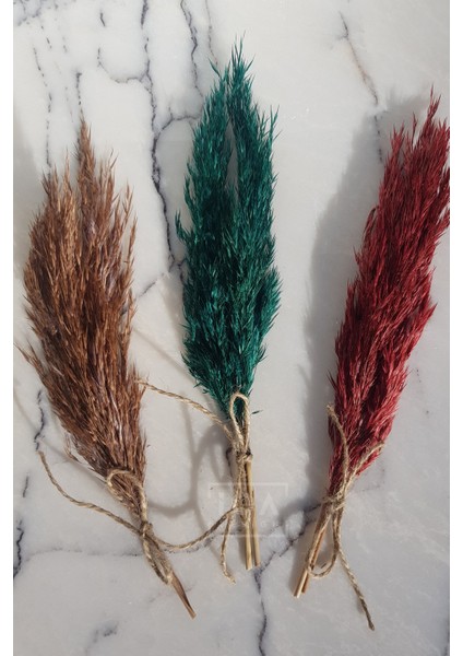 Nişan / Söz Tepsisi Çiçeği, Süsü - Yeşil Şoklanmış Küçük Boy Pampas modelleri