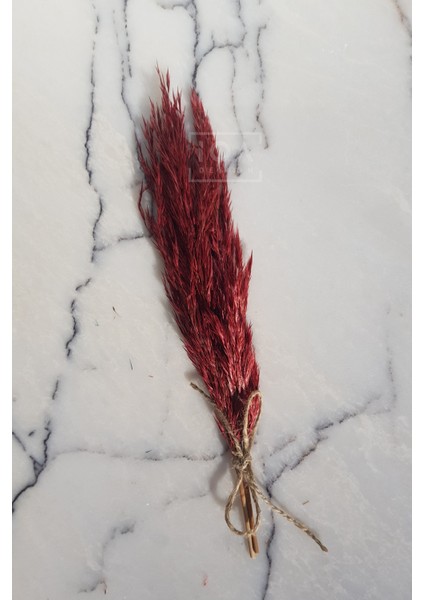 Nişan / Söz Tepsisi Çiçeği, Süsü - Yeşil Şoklanmış Küçük Boy Pampas indirimleri