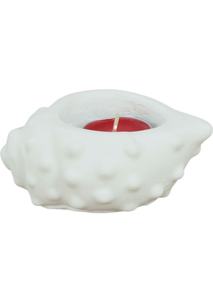 Mumluk Şamdan Tealight Mum Uyumlu Deniz Kabuğu Model