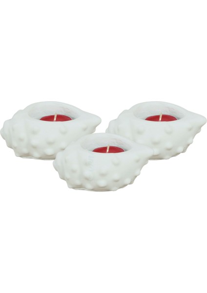 Mumluk Şamdan 3 Adet Tealight Uyumlu Deniz Kabuğu Mum Model