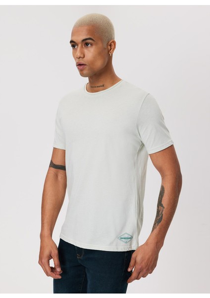 Bisiklet Yaka Mint Erkek T-Shirt 232 Lcm 242061 Gael Mınt fiyatları