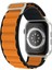 Apple Watch Seri 10/9/8/7/6/se/5/4/3 Alpne Loop Kordon 46/45/44/42MM ve 41/40/38MM Uyumlu 1