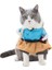Jesty Eğlenceli Samurai Şeklinde Kedi Kıyafeti 1