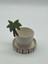 Palmiye Mug 2