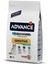 Sterilised Sensitive Somonlu Kısırlaştırılmış Yetişkin Kedi Maması 3 kg 1