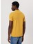 Hardal Erkek Polo T-Shirt 232 Lcm 242048 Twıns Hardal 4