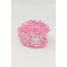 Klasik Plastik Tohum 20'li Bağ - Pembe