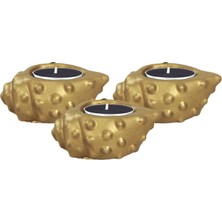 Stein Kohle Şamdan Dekoratif Mumluk Şamdan Tealight Mum Uyumlu Deniz Kabuğu Model