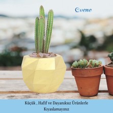 Evene Saksı Çiçek Kaktüs Saksısı Lüx 15 cm Burgulu Desen Saksı Çiçeklik