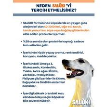 Saluki Kuzu Etli Köpek Maması 15 kg ( Yeni Üretim )