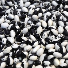 Karahasanoğlu Tarım Yerli Ayşe Kadın Sırık Fasulye Tohumu 500 gr (Siyah Lekeli)