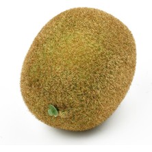 Nettenevime Yapay Meyve Kivi Fake Fruit