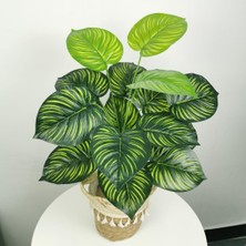 Nettenevime Yapay Çiçek Demet Difenbahya Sarı Çizgili 12DAL 55CM Salon Çiçeği Yapay Bitki