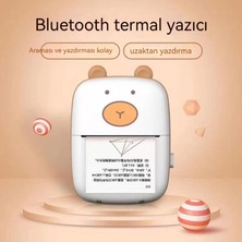 Oloey Xueba Ev Mini Cep Yazıcısı (Yurt Dışından)