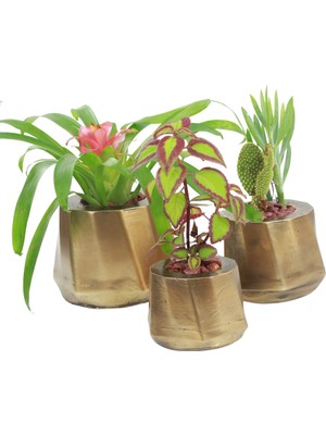 Evene Saksı Çiçek Kaktüs Saksısı Lüx 15 cm Kalın Çizgi Desenli 3'lü Set Çiçeklik