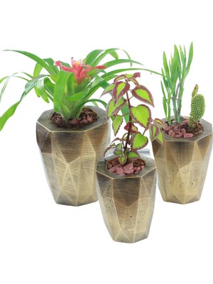 Evene Saksı Çiçek Kaktüs Saksısı Lüx 15 cm Uzun Poly Desenli 3'lü Set Çiçeklik